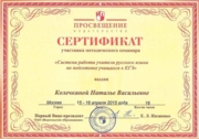 Сертификат  "Система подготовки учащихся к ЕГЭ"