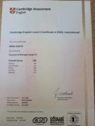 Кембриджский Сертификат СAE