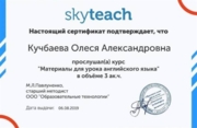 Сертификат SKYTEACH