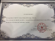 University of Science and Technology Liaoning. Certificate. 2019 г.