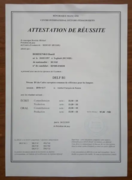 Сертификат по французскому языку DELF