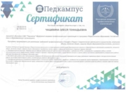 Педагогическое образование - сертификат