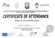 Сертификат международной программы обмена “Comenius” - встреча в Карлсруэ, Германия, 2014 г.
