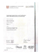 Кембриджский Сертификат PET