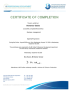 IB DP Сертификат по Бизнесу 2го степень