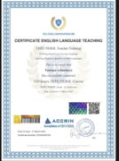 Международный сертификат TEFL/TESOL