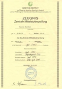 Сертификат Goethe-Institut Mittelstufenabschluss