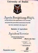 Bachelor's Degree