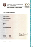Сертификат о прохождении экзамена "TKT:Young Learners"