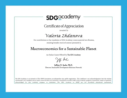 SDG Academy certificate