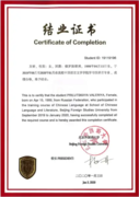 Сертификат BFSU (1 страница)