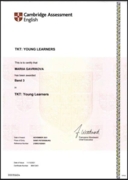 Cambridge TKT young learners