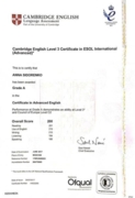 Сертификат CAE