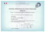 DALF C1, Французский язык, 2019