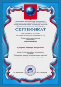 Сертификат о прохождении тестирования педагогов на соответствие квалификации
